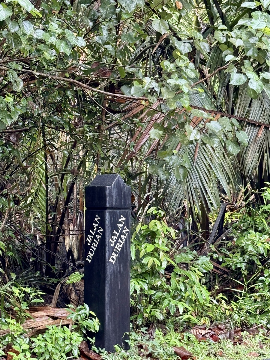 Pasted image 20251218220755.jpg